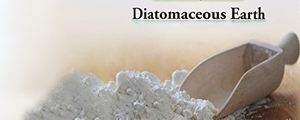 خاک دیاتومه