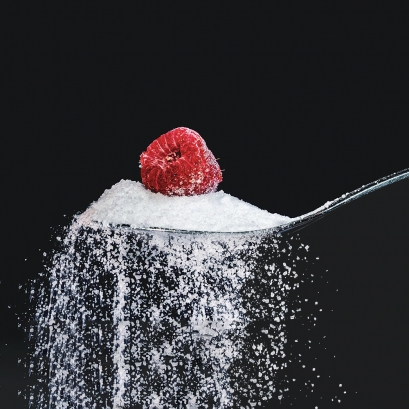 خط تولید شکر فوندانت (شکر ابریشمی)